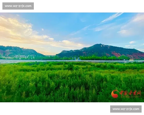 深证成指引领A股结构性行情新阶段助推科技与绿色产业高质量发展